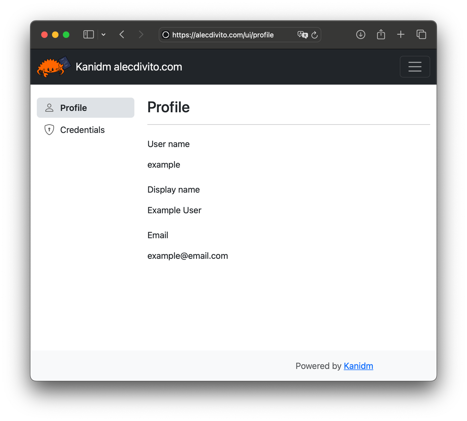 Kanidm: an open source identity management platform.
